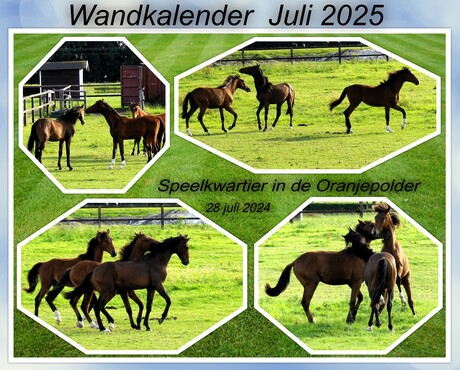 Collage  Wandkalender  2025 Maand  Juli       Foto s 28 juli 2024 