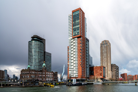 Rotterdam view (Kop van Zuid)