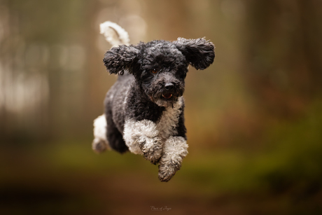 It's almost time to jump into the New Year 🎆