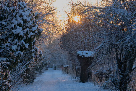 wandelpad in de sneeuw