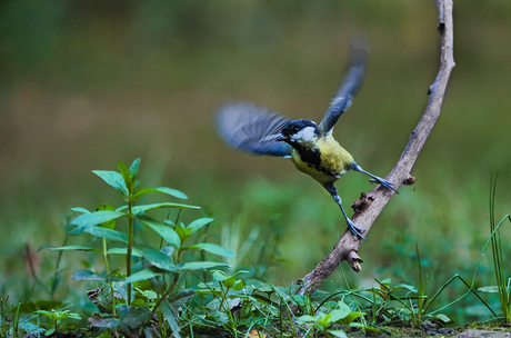 Klaar voor de start.....