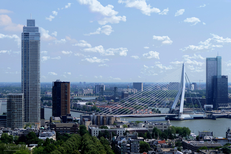 Rotterdam uitzicht
