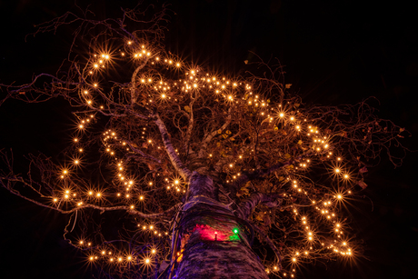 Lichtboom kerstdorp Wielepôlle