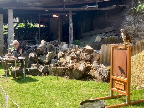 kermisvogel