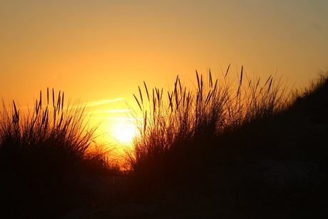 Tot zonsondergang 