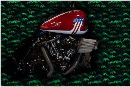 Harley Davitson moter