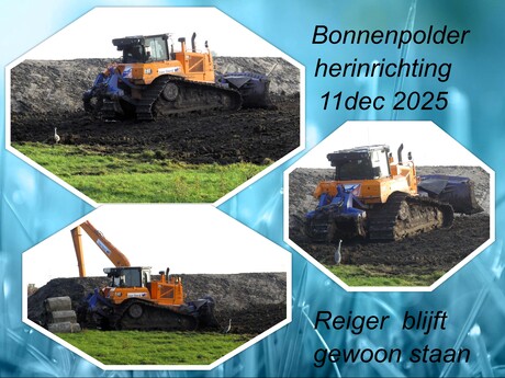 Collage  Bonnenpolder  Herinrichting   nr7   v Oord CAT  6 D  en Reiger die blijft 11 dec 2025  