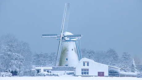 Oude Molen in de sneeuw