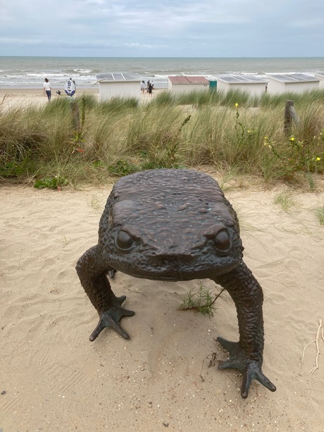 uit de zee gekropen