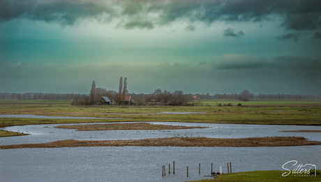 Regenachtige dag in Tholen