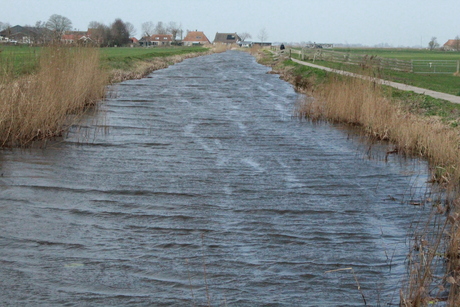 Harde wind
