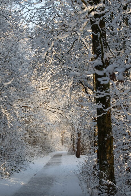 Winterwonderland 
