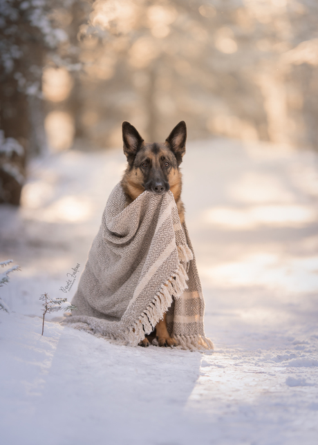 Keep me warm