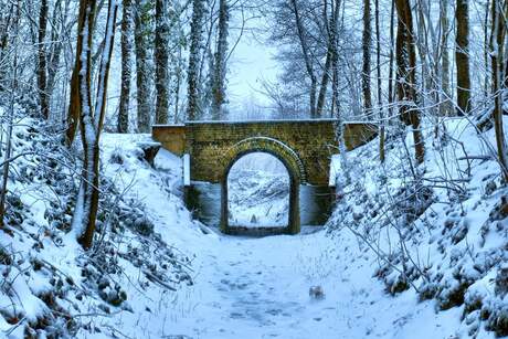 Winter brug 