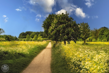 Kerkpolder beautiful in bloom