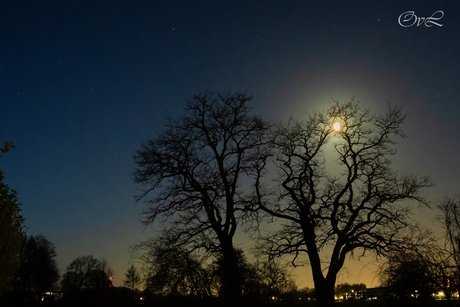 Moonlight