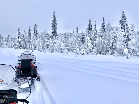 Winterwonderland