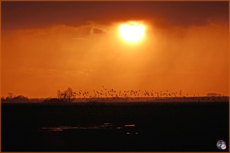Druk aan de horizon …