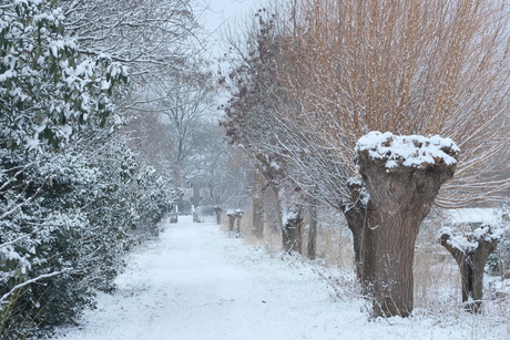 wandelpad in de sneeuw