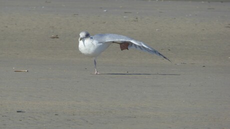 A question of Balance