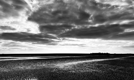 Het wad in noir