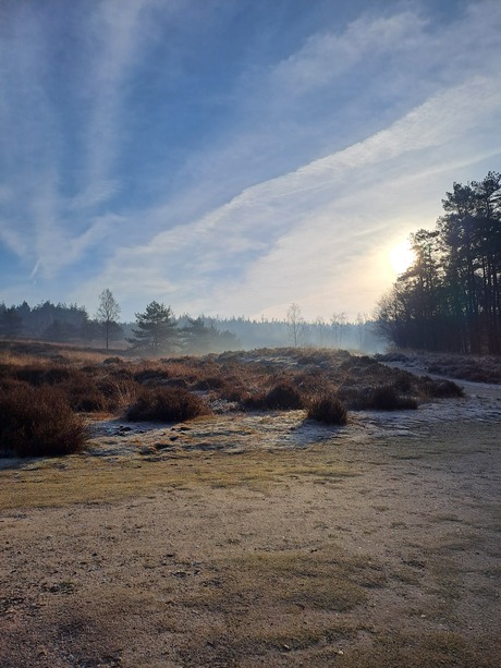 Schilderachtige heide