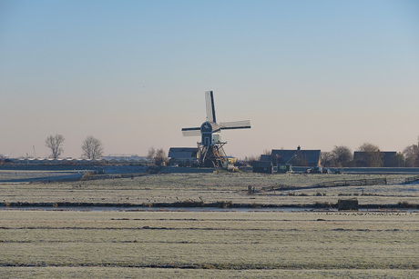 molen