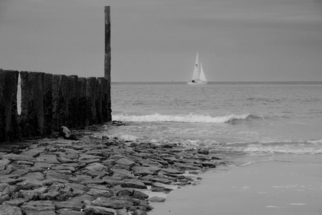 zeelandschap