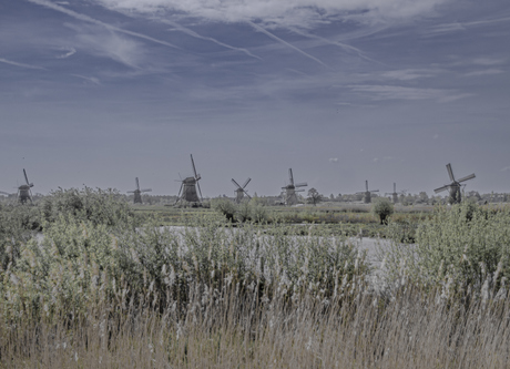 Kinderdijk
