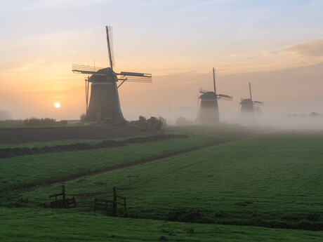 The Dutch countryside