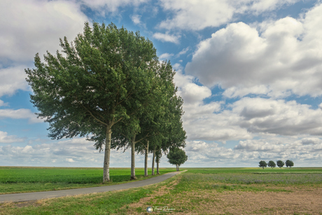 Johannes Kerkhovenpolder (Woldendorp).