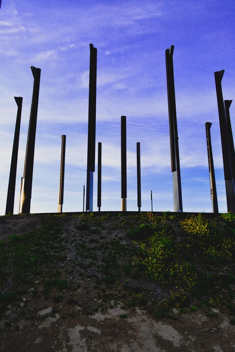 Op de Wilhelminaberg