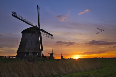 Dutch sunrise