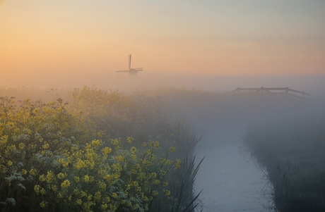 Prachtige lente ochtend 