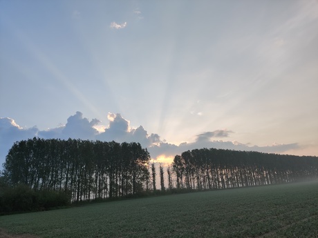 Natuur