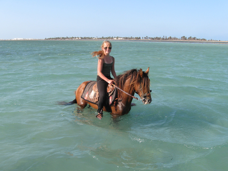 paard rijden in tunesie