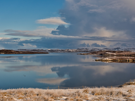Harris