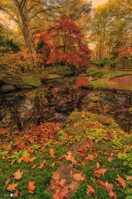 The beautiful colors of autumn