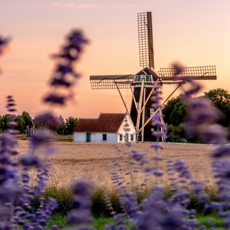 Molen in Zeeland