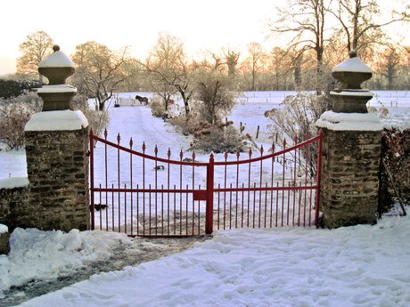 Koude winterochtend