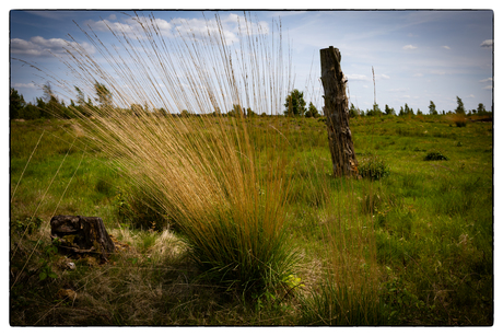Strabrechtse Heide