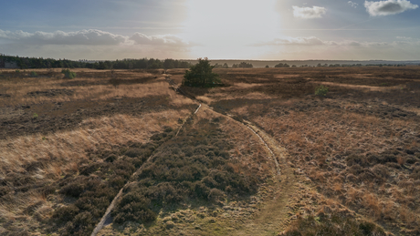 Uitzicht over de Veluwezoom