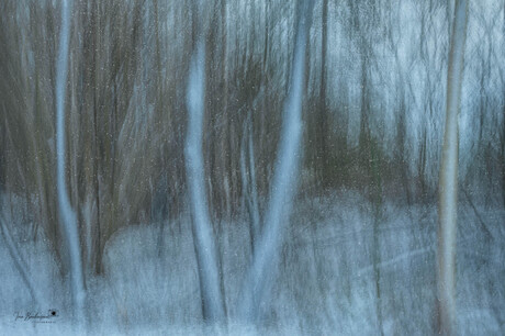 Wervelende Witte Wereld.