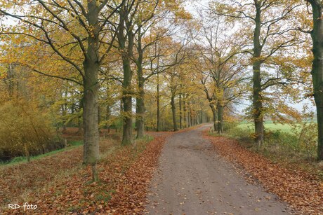 Herfstweg