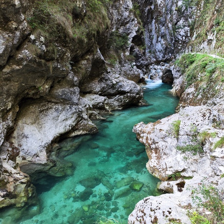 Tolmin kloof