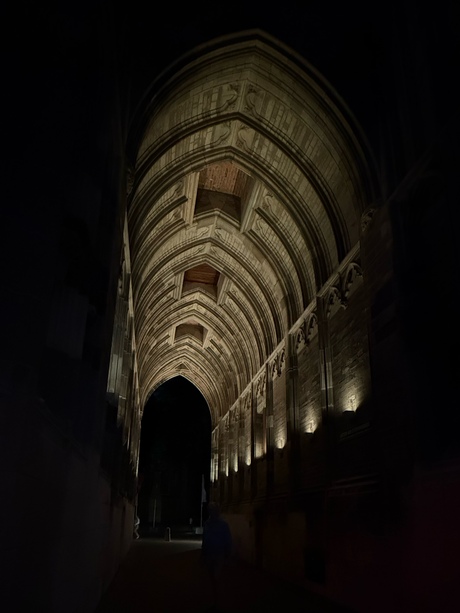 Onder de Dom