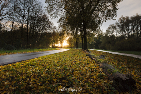 Kleuren van de herfst