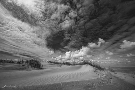 Westerstrand op Schiermonnikoog