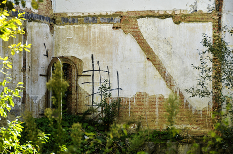 Als de natuur het overneemt