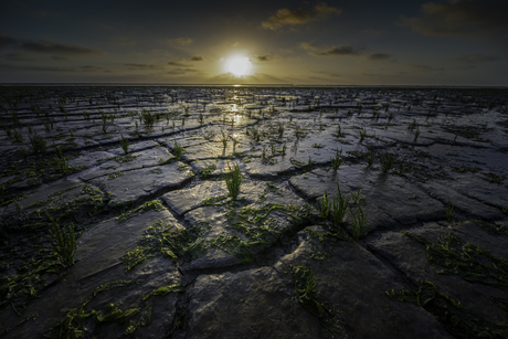 Sunset at the Waddenzee 